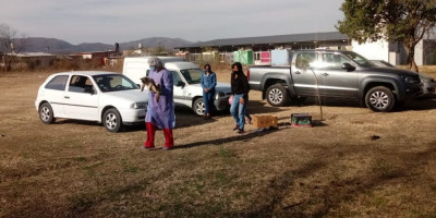 170 mascotas fueron castradas en La Caldera